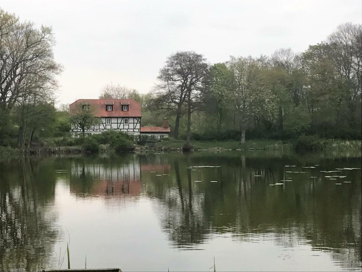 Ferienwohnung Hoppelnase Mit Eigener Sauna Langenstein Extérieur photo